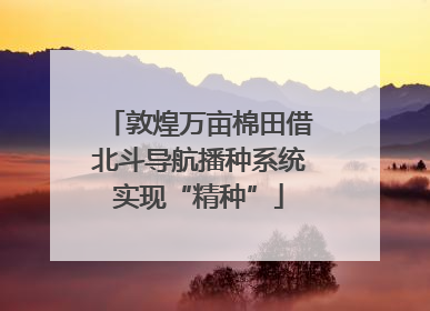 敦煌万亩棉田借北斗导航播种系统实现“精种”